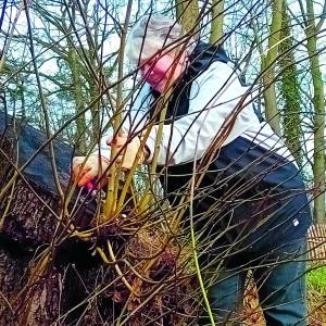 Natuurwerkochtend Het Hulsbeek 18 januari