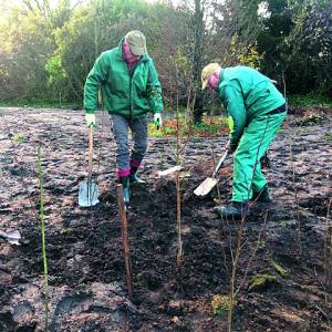 Stichting Voedselbos Oldenzaal zoekt vrijwilligers