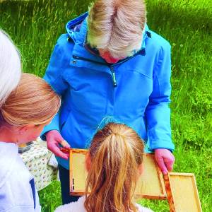Scharrelkids-doedag zomer 2025