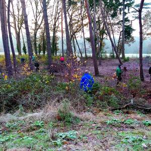 Natuurwerkochtend Grafheuvels Groote Veld op 14 oktober