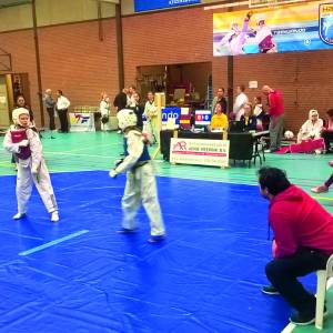 Hantei houdt drieëntwintigste taekwondo miniboeskooltoernooi
